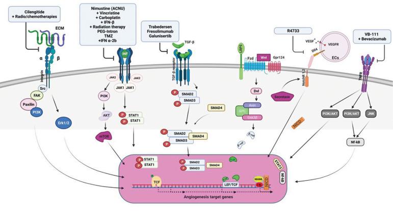 https://cdn.ncbi.nlm.nih.gov/pmc/blobs/f760/9617020/48d233aea524/Cell-J-24-555-g02.jpg