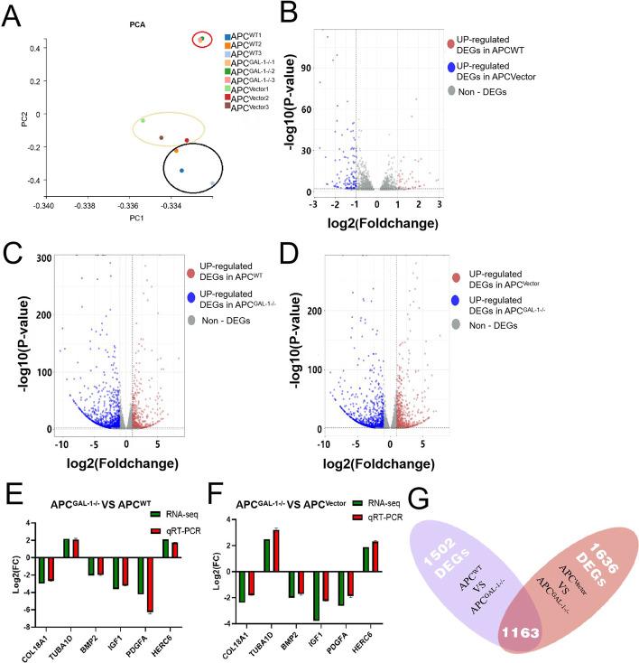 https://cdn.ncbi.nlm.nih.gov/pmc/blobs/f763/10184426/9d548af6ef62/11658_2023_456_Fig4_HTML.jpg