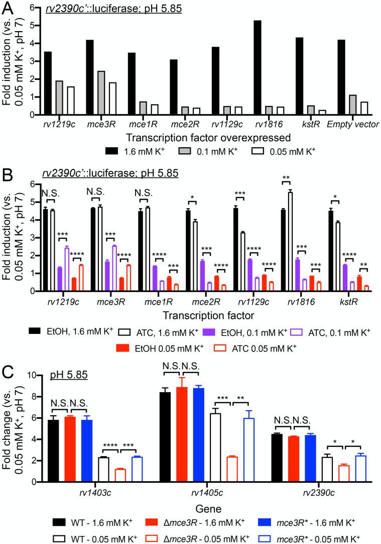 https://cdn.ncbi.nlm.nih.gov/pmc/blobs/f763/10843139/cc185c57140d/pgen.1011143.g002.jpg