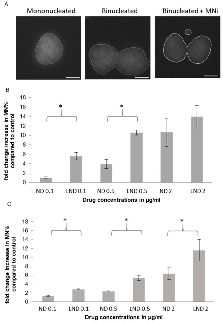https://cdn.ncbi.nlm.nih.gov/pmc/blobs/f764/7559812/857eee3dc347/pharmaceutics-12-00863-g004a.jpg
