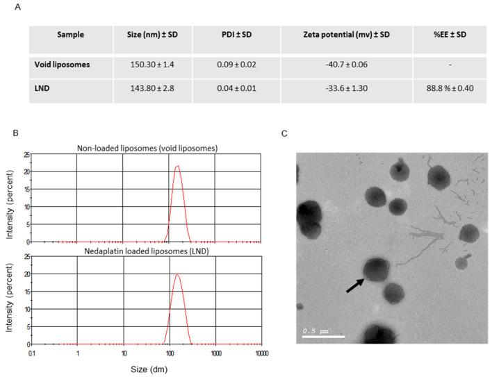 https://cdn.ncbi.nlm.nih.gov/pmc/blobs/f764/7559812/8b52e66e73a7/pharmaceutics-12-00863-g001a.jpg
