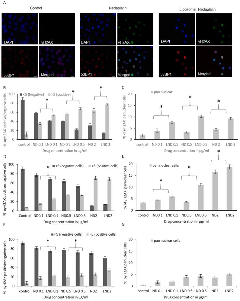 https://cdn.ncbi.nlm.nih.gov/pmc/blobs/f764/7559812/eb0e216592c9/pharmaceutics-12-00863-g005.jpg