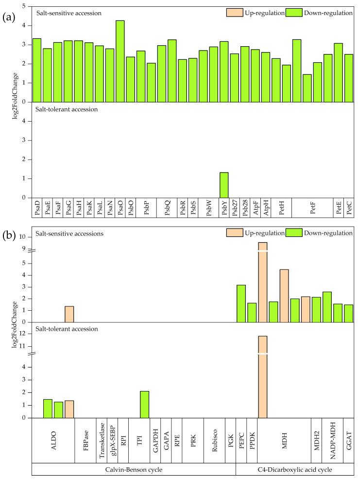 https://cdn.ncbi.nlm.nih.gov/pmc/blobs/f767/9323065/3b25280f1678/plants-11-01864-g003.jpg