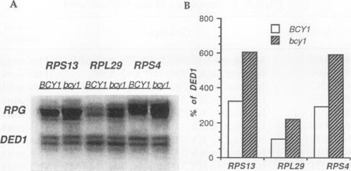 https://cdn.ncbi.nlm.nih.gov/pmc/blobs/f768/358550/bec956553642/molcellb00003-0404-a.jpg