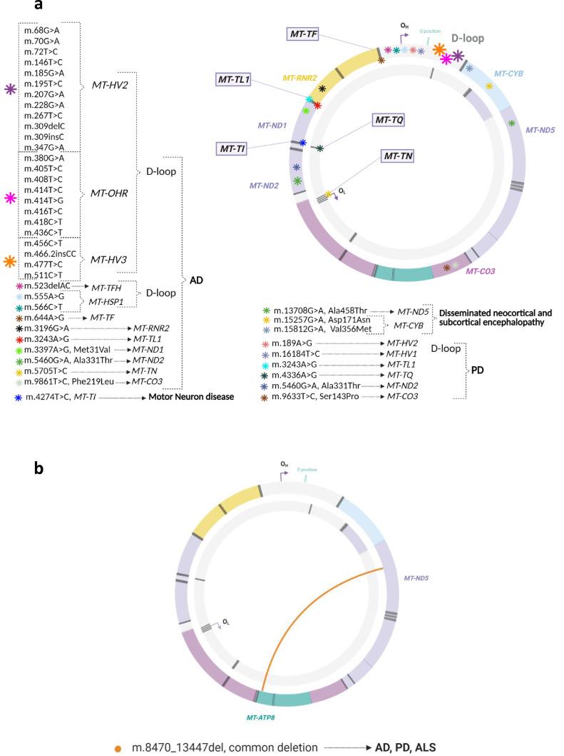 https://cdn.ncbi.nlm.nih.gov/pmc/blobs/f769/8790490/f32e2a624e23/gr3.jpg