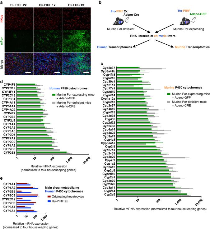 https://cdn.ncbi.nlm.nih.gov/pmc/blobs/f76b/5489481/c6c6187e9542/41467_2017_49_Fig3_HTML.jpg
