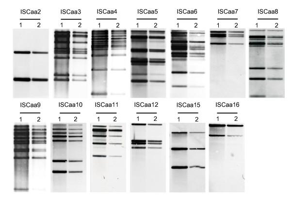 https://cdn.ncbi.nlm.nih.gov/pmc/blobs/f76d/3196728/10a3186985ef/1471-2148-11-270-3.jpg