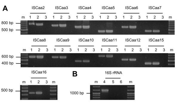 https://cdn.ncbi.nlm.nih.gov/pmc/blobs/f76d/3196728/f72987a2f182/1471-2148-11-270-2.jpg