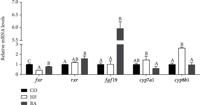 https://cdn.ncbi.nlm.nih.gov/pmc/blobs/f76e/10232174/3b6836d3082d/ANU2023-9953927.004.jpg