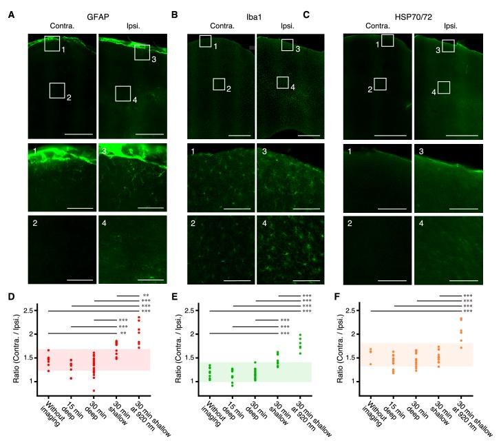 https://cdn.ncbi.nlm.nih.gov/pmc/blobs/f76f/5643091/76c670d99010/elife-26839-fig3.jpg