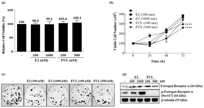https://cdn.ncbi.nlm.nih.gov/pmc/blobs/f772/8582455/45f38d5ba131/cancers-13-05322-g001.jpg