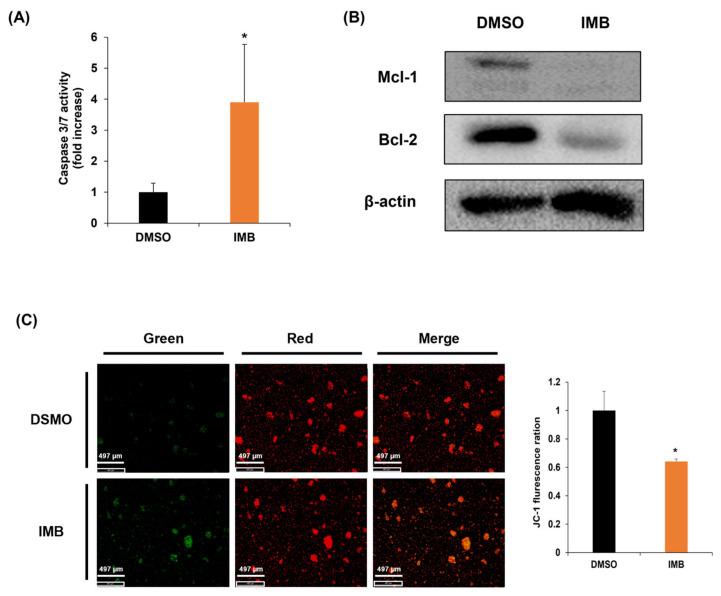 https://cdn.ncbi.nlm.nih.gov/pmc/blobs/f774/10217017/57137888a16a/cimb-45-00257-g003.jpg