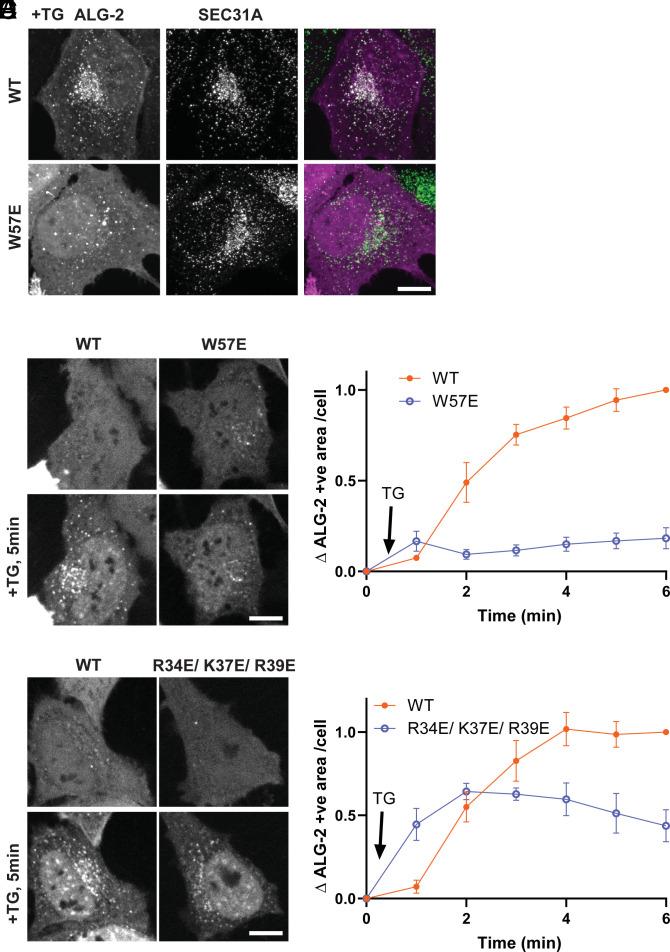 https://cdn.ncbi.nlm.nih.gov/pmc/blobs/f774/10907313/adaa27cb905b/pnas.2318046121fig03.jpg