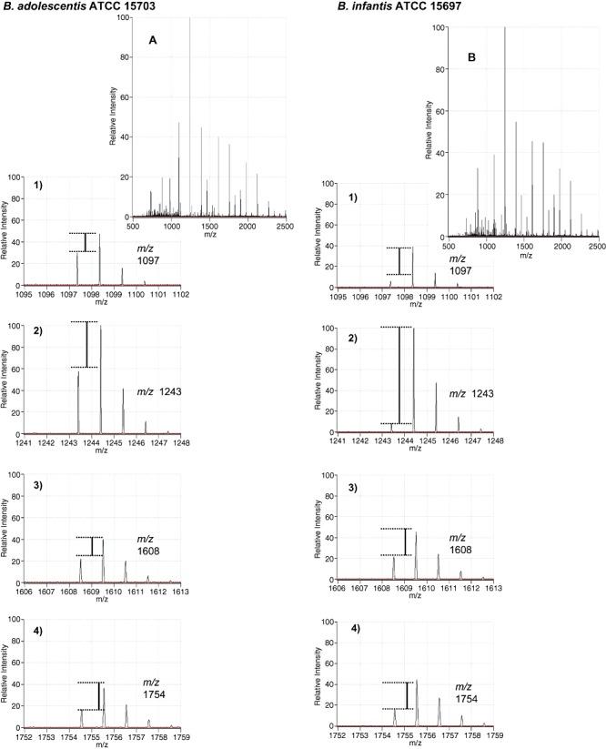https://cdn.ncbi.nlm.nih.gov/pmc/blobs/f775/3815754/9585ca160e14/mbt0002-0333-f3.jpg