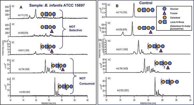 https://cdn.ncbi.nlm.nih.gov/pmc/blobs/f775/3815754/de19838ece2e/mbt0002-0333-f4.jpg