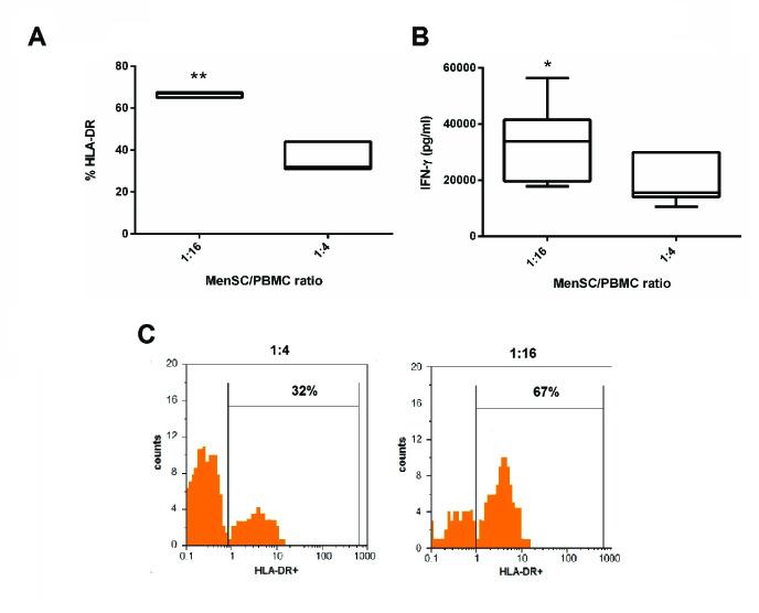 https://cdn.ncbi.nlm.nih.gov/pmc/blobs/f776/7851477/e7aa794ae4c8/ijrb-19-75-g003.jpg