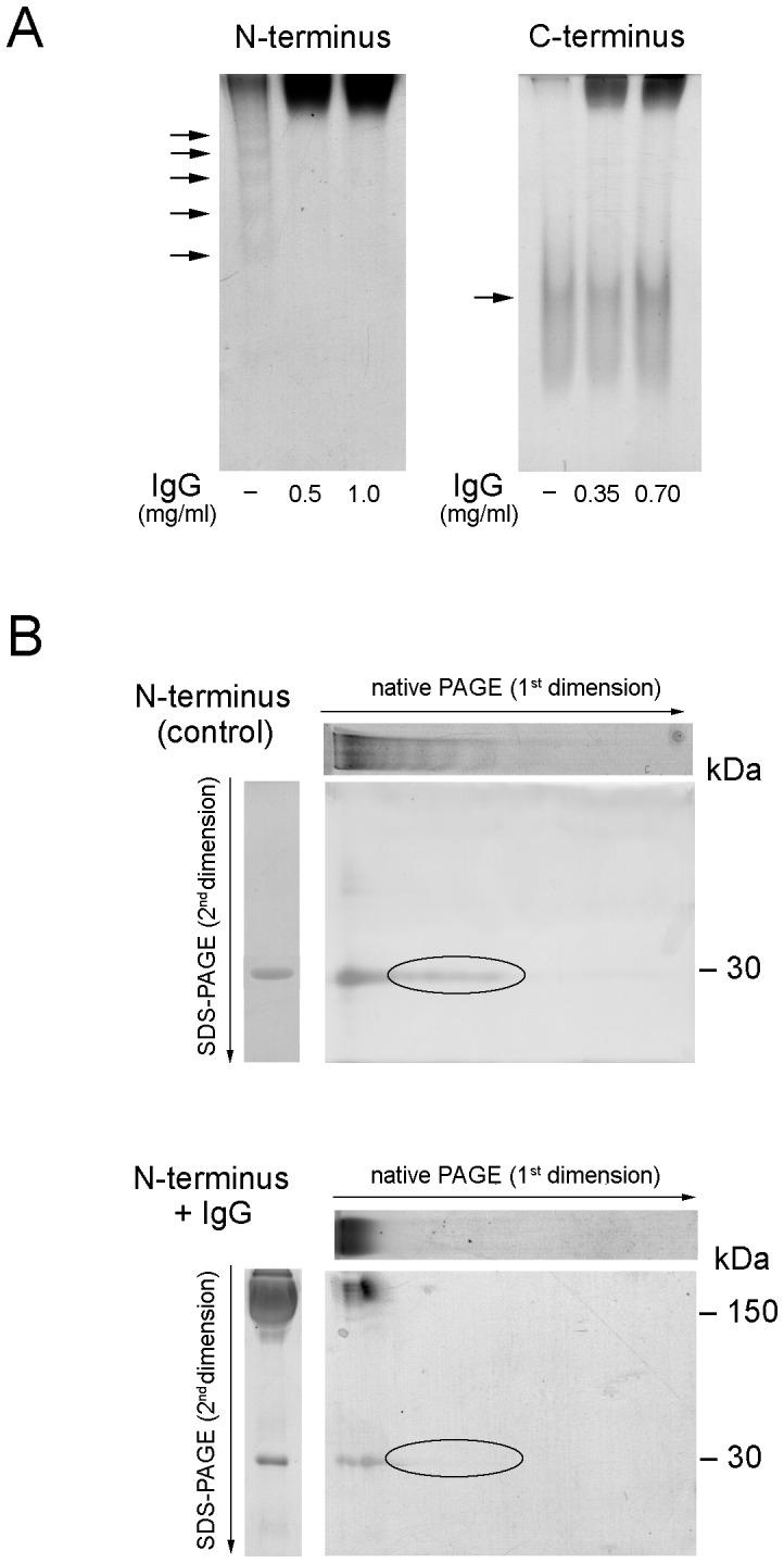 https://cdn.ncbi.nlm.nih.gov/pmc/blobs/f778/3904872/3f3a57b1b253/pone.0086198.g005.jpg