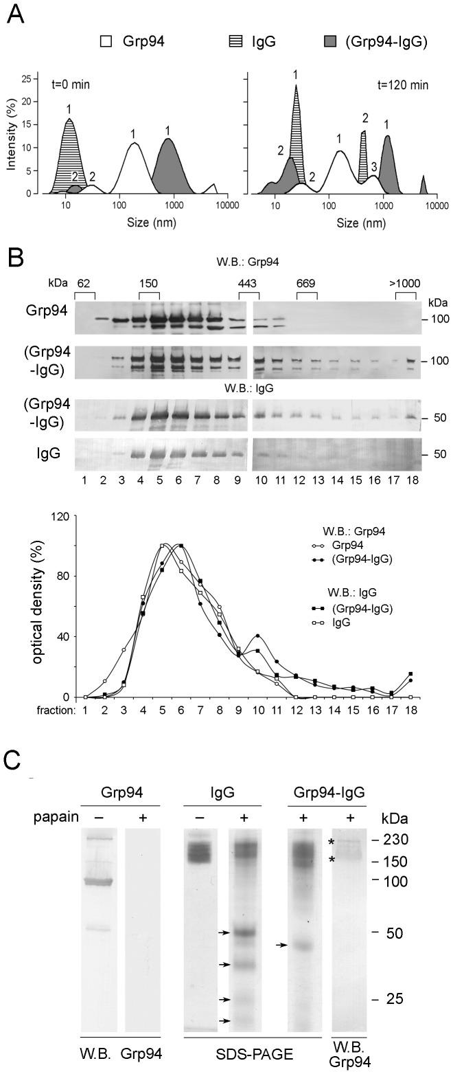 https://cdn.ncbi.nlm.nih.gov/pmc/blobs/f778/3904872/e22b3151abd8/pone.0086198.g002.jpg