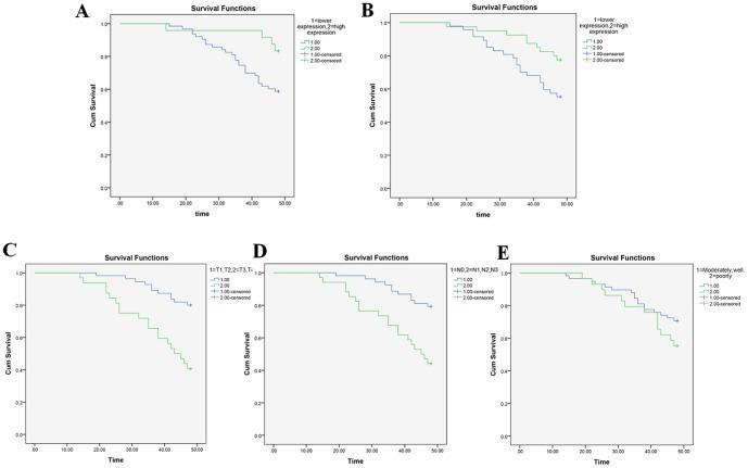 https://cdn.ncbi.nlm.nih.gov/pmc/blobs/f77c/4171522/f275d2401f39/pone.0108237.g005.jpg
