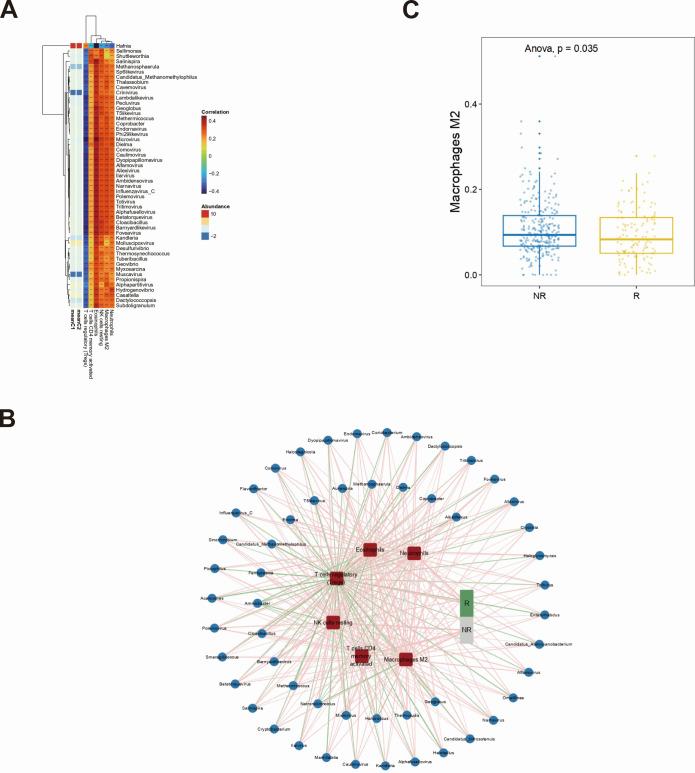 https://cdn.ncbi.nlm.nih.gov/pmc/blobs/f77f/12054076/08eb804ca2b0/spectrum.02830-24.f007.jpg