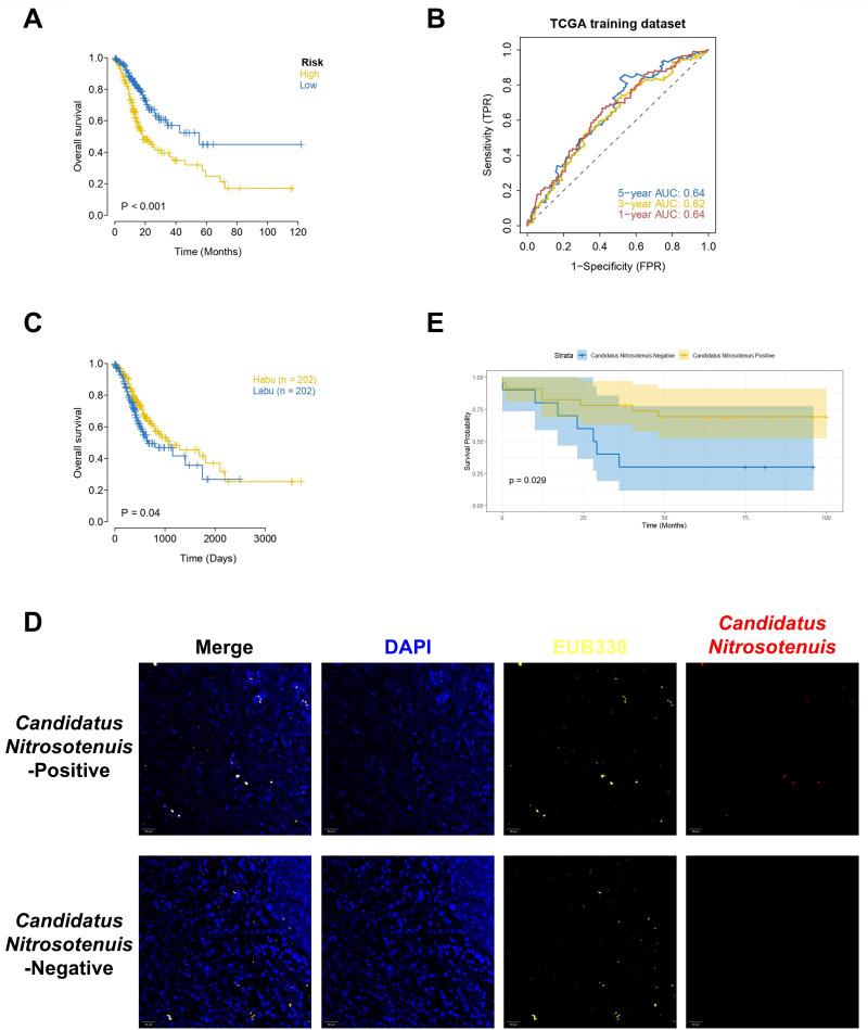https://cdn.ncbi.nlm.nih.gov/pmc/blobs/f77f/12054076/4c3774405cec/spectrum.02830-24.f011.jpg