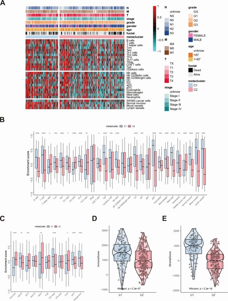 https://cdn.ncbi.nlm.nih.gov/pmc/blobs/f77f/12054076/55165fe2998e/spectrum.02830-24.f002.jpg