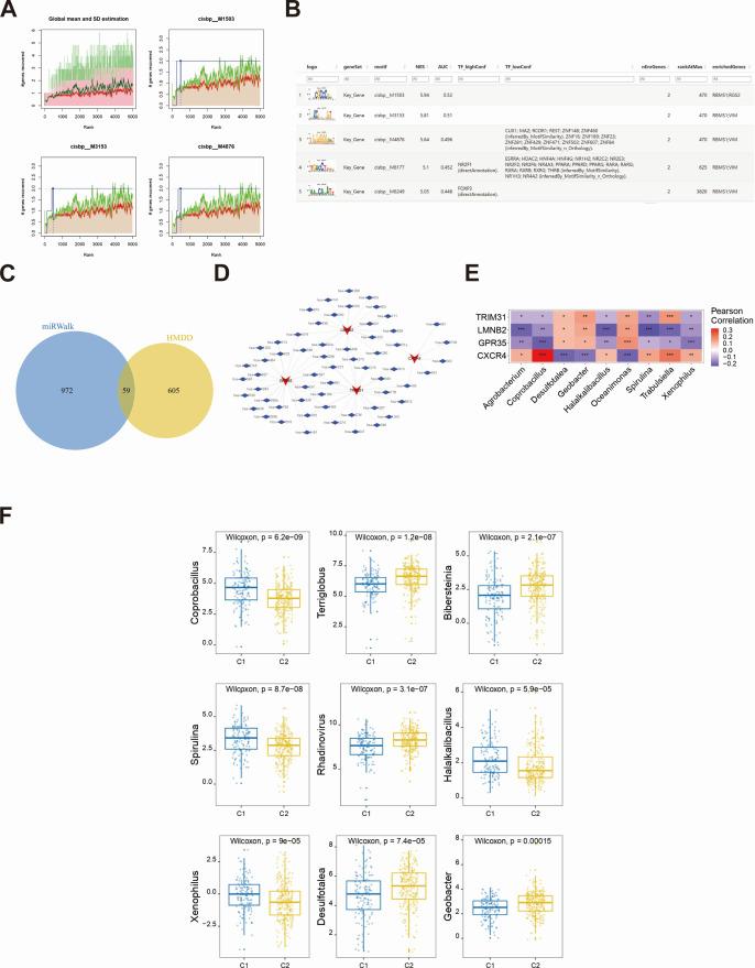 https://cdn.ncbi.nlm.nih.gov/pmc/blobs/f77f/12054076/e1d6bc220d8d/spectrum.02830-24.f009.jpg