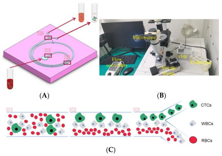 https://cdn.ncbi.nlm.nih.gov/pmc/blobs/f780/11175239/eed089d26ee6/sensors-24-03552-g001.jpg