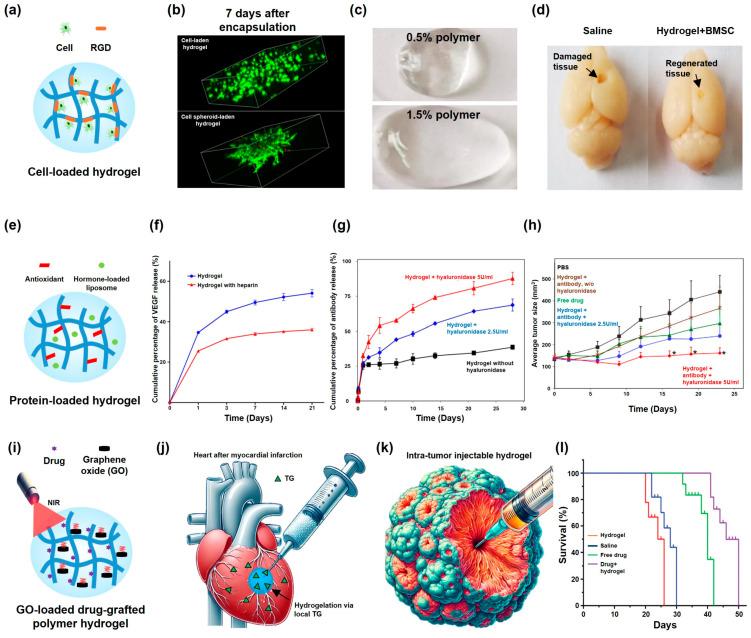 https://cdn.ncbi.nlm.nih.gov/pmc/blobs/f782/11507637/9bc02c8381d8/gels-10-00640-g004.jpg