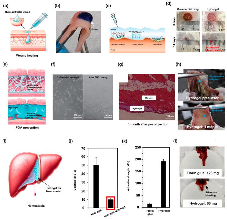 https://cdn.ncbi.nlm.nih.gov/pmc/blobs/f782/11507637/a677afe89c37/gels-10-00640-g003.jpg