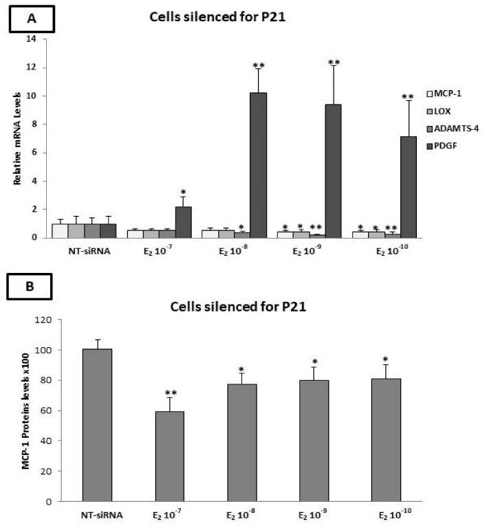https://cdn.ncbi.nlm.nih.gov/pmc/blobs/f782/9506323/663c5ba2651c/ijms-23-10960-g006.jpg