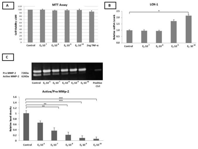 https://cdn.ncbi.nlm.nih.gov/pmc/blobs/f782/9506323/7062fa2a8015/ijms-23-10960-g001.jpg