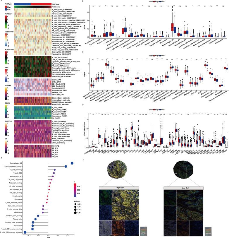 https://cdn.ncbi.nlm.nih.gov/pmc/blobs/f783/10900655/601d601595b0/12967_2024_4955_Fig7_HTML.jpg