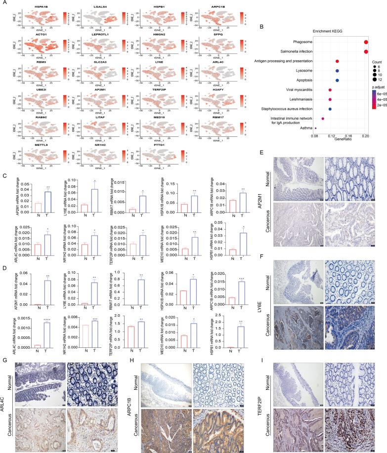 https://cdn.ncbi.nlm.nih.gov/pmc/blobs/f783/10900655/999e328f46b4/12967_2024_4955_Fig5_HTML.jpg