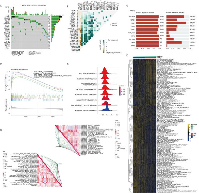 https://cdn.ncbi.nlm.nih.gov/pmc/blobs/f783/10900655/c8b5d36ea276/12967_2024_4955_Fig6_HTML.jpg