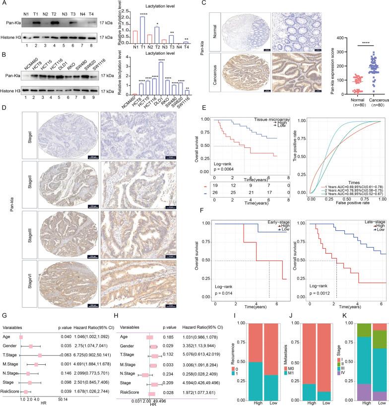 https://cdn.ncbi.nlm.nih.gov/pmc/blobs/f783/10900655/e105cad7653d/12967_2024_4955_Fig2_HTML.jpg