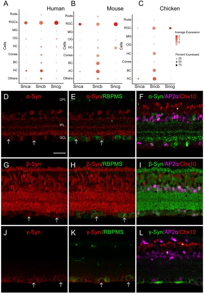 https://cdn.ncbi.nlm.nih.gov/pmc/blobs/f784/11186421/ffce57d92ae9/ijmsv21p1472g001.jpg
