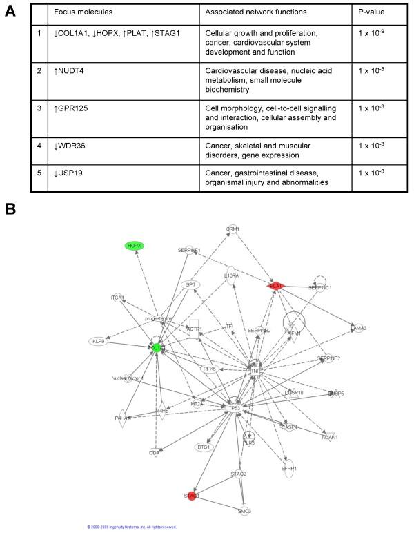 https://cdn.ncbi.nlm.nih.gov/pmc/blobs/f784/2651901/3afa427c599b/1471-2164-10-67-9.jpg