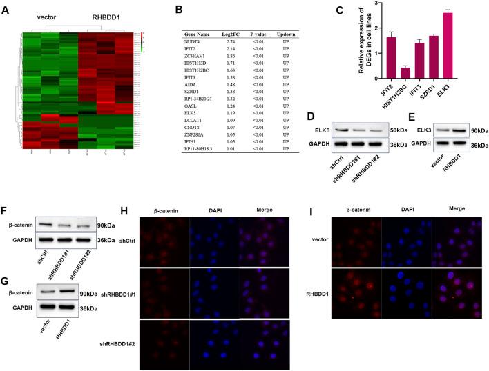 https://cdn.ncbi.nlm.nih.gov/pmc/blobs/f785/12331600/9fb3a523f734/fbioe-13-1604859-g004.jpg