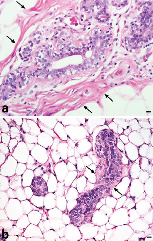 https://cdn.ncbi.nlm.nih.gov/pmc/blobs/f785/3055717/0b8dda3b7115/1480-9222-12-1-9026-1.jpg