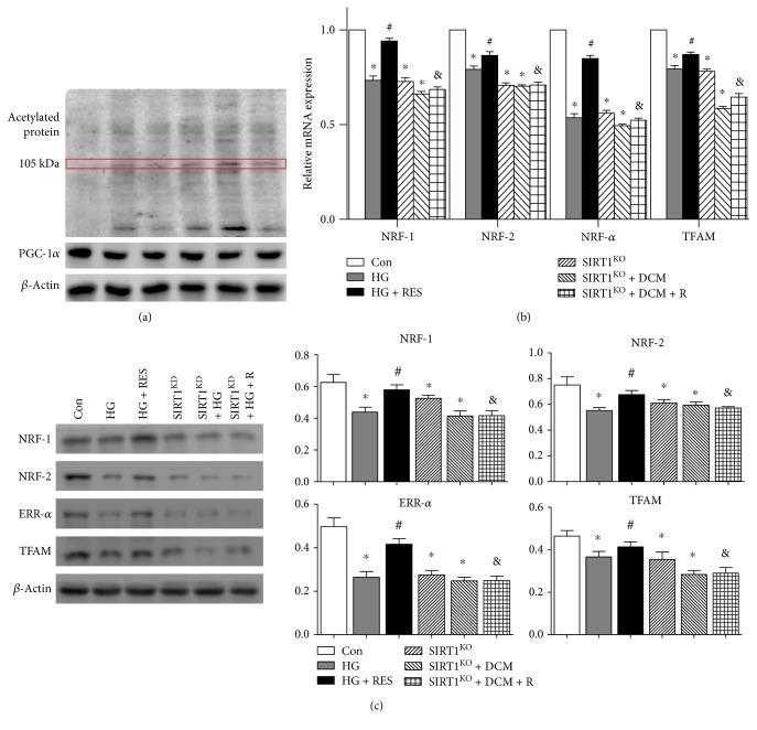 https://cdn.ncbi.nlm.nih.gov/pmc/blobs/f785/5572590/b2623752a136/OMCL2017-4602715.005.jpg