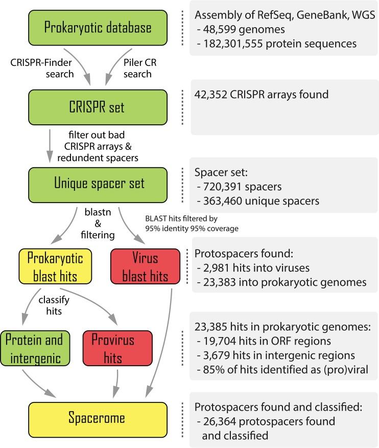 https://cdn.ncbi.nlm.nih.gov/pmc/blobs/f785/5605939/cdcbaeb6a948/mbo0041734850001.jpg