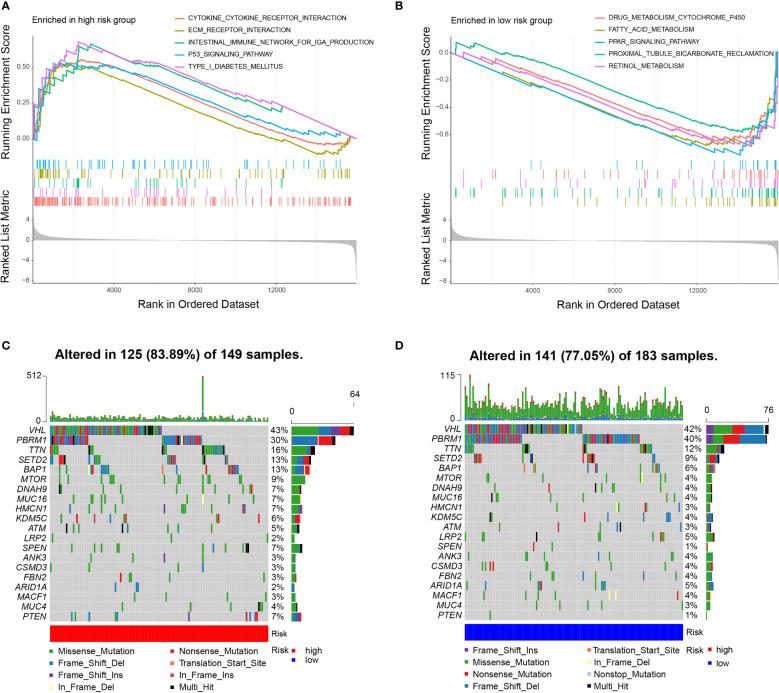 https://cdn.ncbi.nlm.nih.gov/pmc/blobs/f786/9352939/6e4a8a7cdde4/fimmu-13-869297-g004.jpg