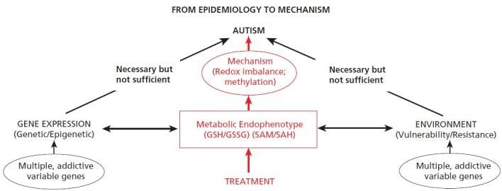 https://cdn.ncbi.nlm.nih.gov/pmc/blobs/f787/3865377/699e2bd30b30/gahmj.2013.088.g002.jpg