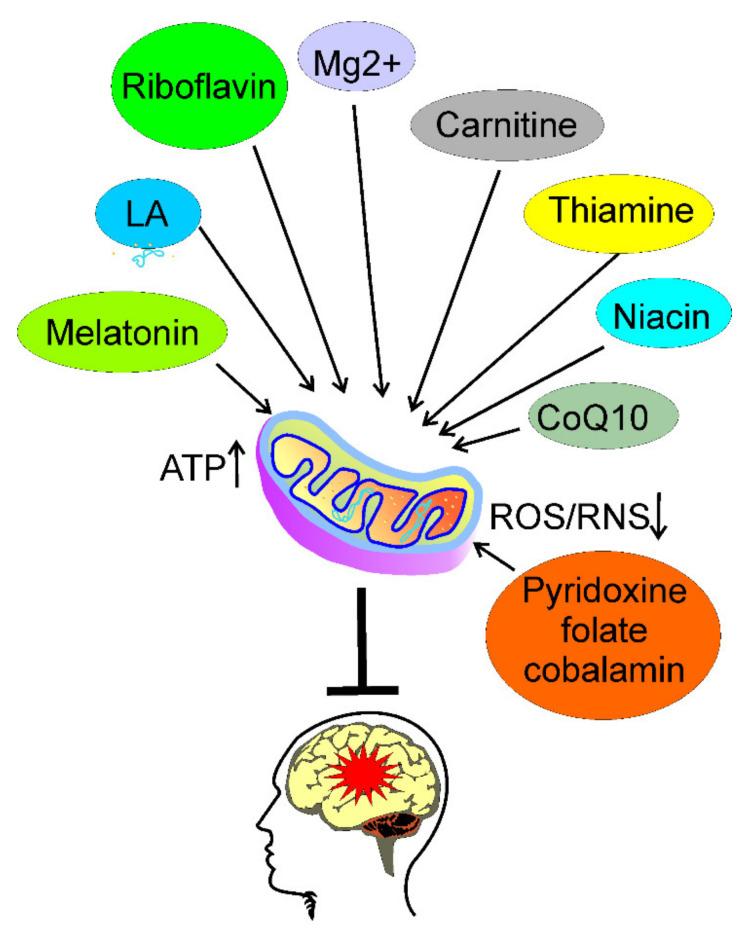 https://cdn.ncbi.nlm.nih.gov/pmc/blobs/f787/8707228/c520739bc399/nutrients-13-04433-g004.jpg