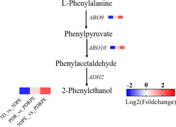 https://cdn.ncbi.nlm.nih.gov/pmc/blobs/f788/11295549/656d97726d90/13068_2024_2559_Fig5_HTML.jpg