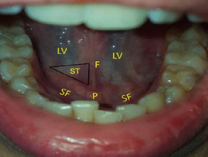 https://cdn.ncbi.nlm.nih.gov/pmc/blobs/f789/10068634/c8a946ea736f/10877_2022_936_Fig2_HTML.jpg