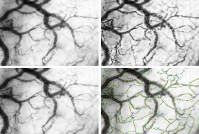 https://cdn.ncbi.nlm.nih.gov/pmc/blobs/f789/10068634/d7b12eafc524/10877_2022_936_Fig6_HTML.jpg