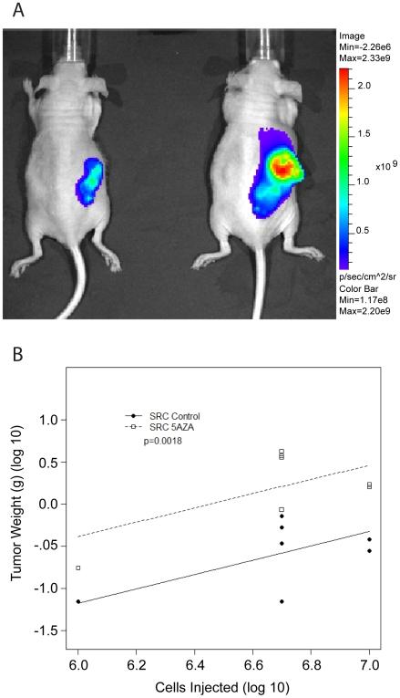 https://cdn.ncbi.nlm.nih.gov/pmc/blobs/f789/2790612/a28ecf845251/pone.0008340.g006.jpg