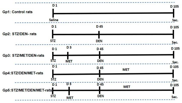 https://cdn.ncbi.nlm.nih.gov/pmc/blobs/f789/7830090/79b7869325f9/pathogens-10-00059-g001.jpg